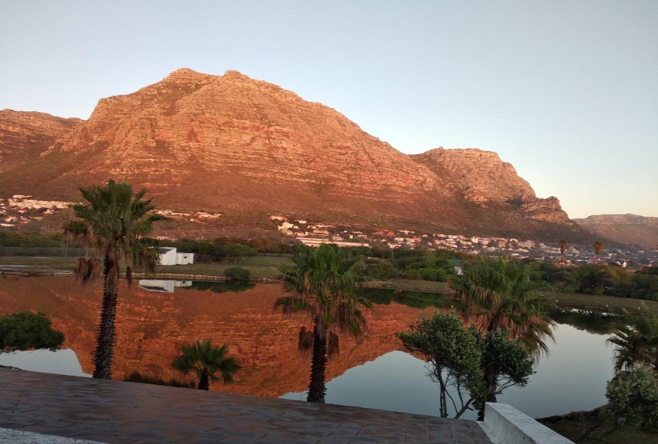 Vlei Cove Guesthouse Cape Town Exterior photo