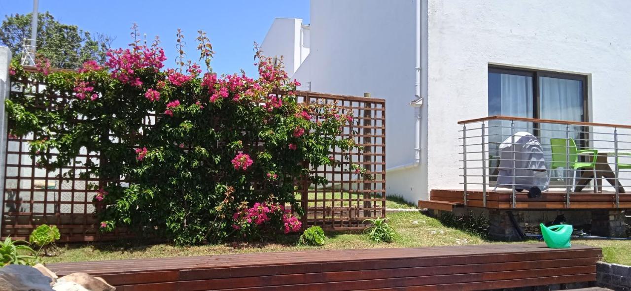 Vlei Cove Guesthouse Cape Town Exterior photo